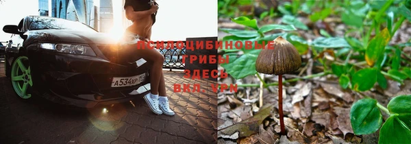 PSILOCYBIN Абаза