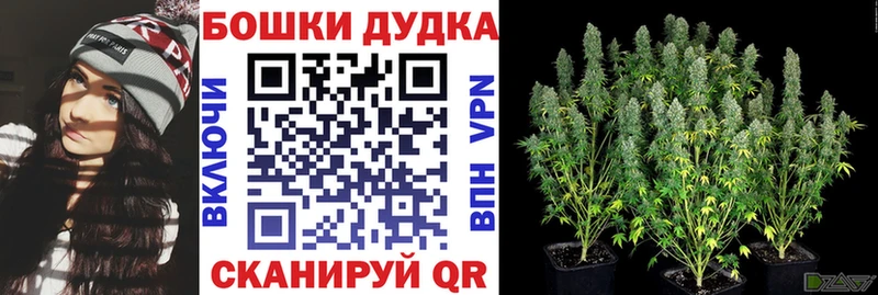 Каннабис марихуана Касли